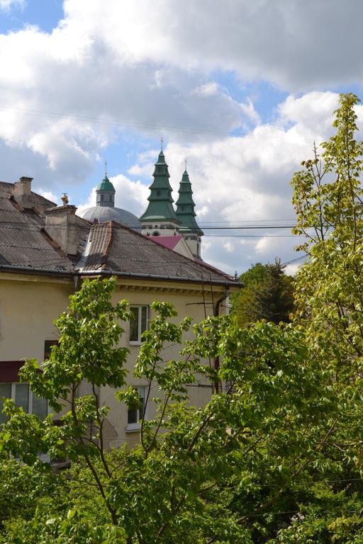 Catedra View Apartment Ternopil Luaran gambar